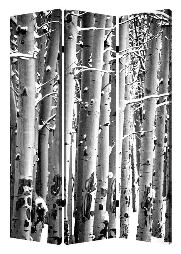 1″ x 48″ x 72″ Multi Color Wood Canvas Birch Screen